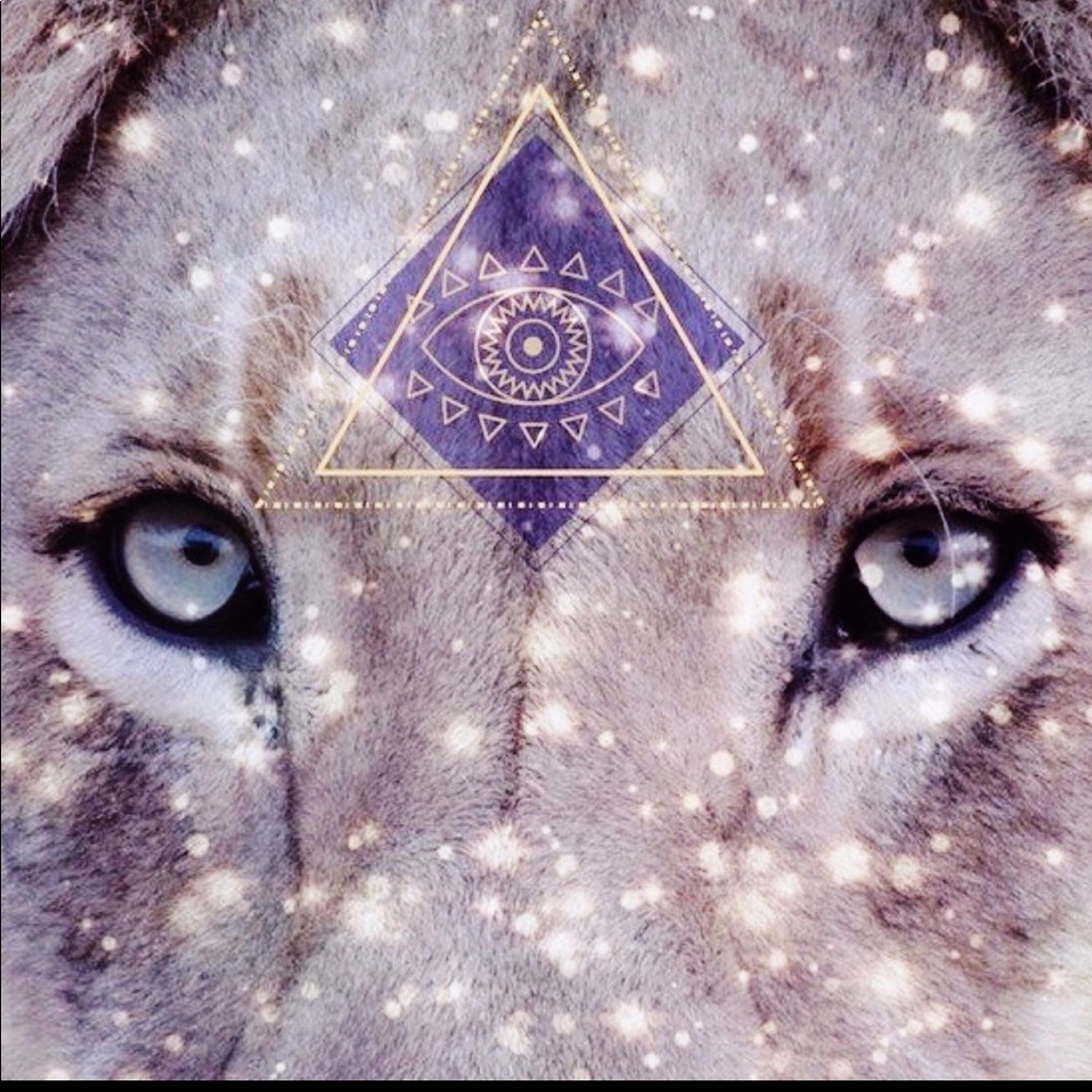 Meet your Posher, Ganriela